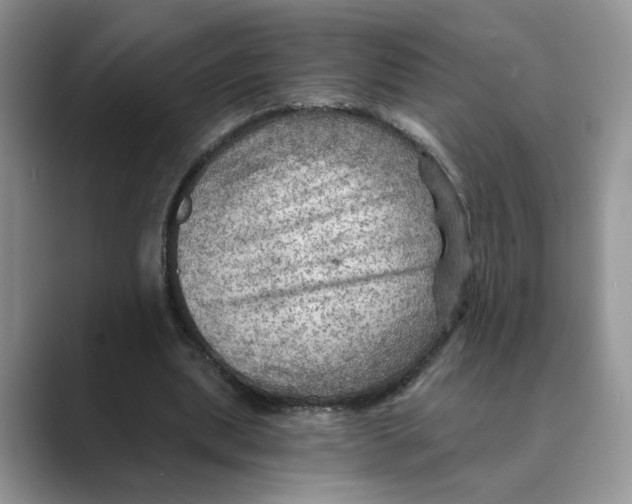 X0000088860439200707061054