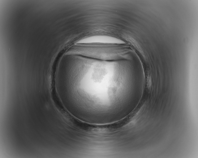 X0000088860444200707061054