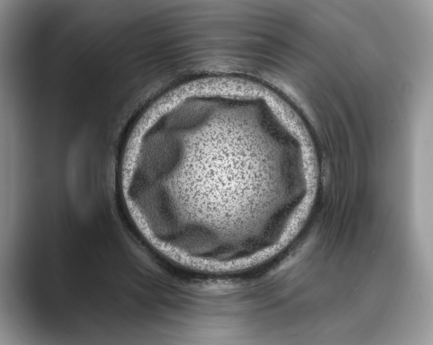 X0000088860445200707061054