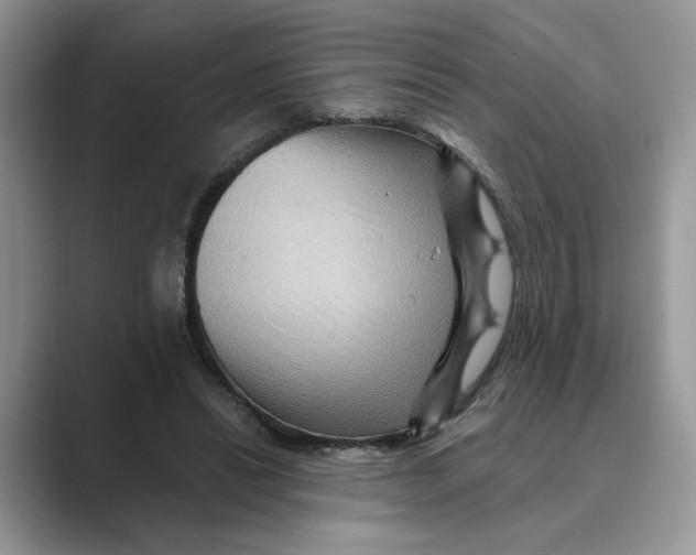 X0000088860446200707061054