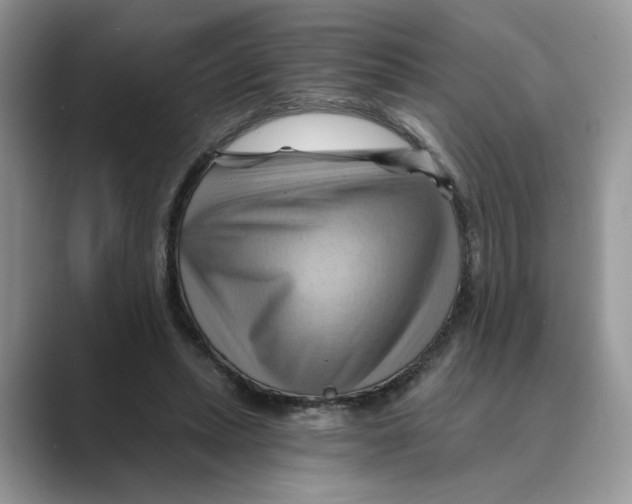 X0000088860447200707061054