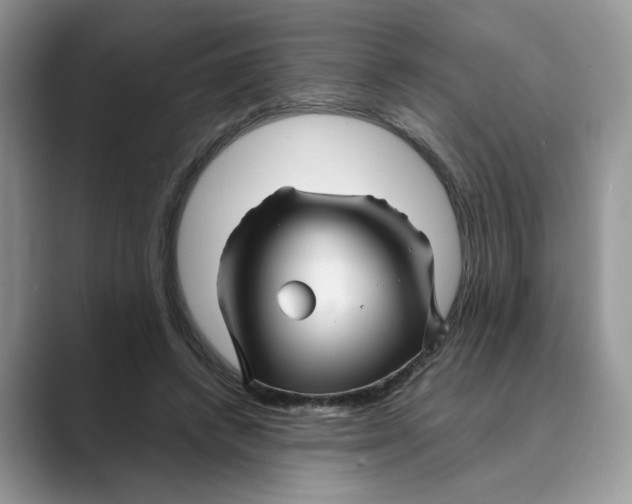 X0000088860448200707061054