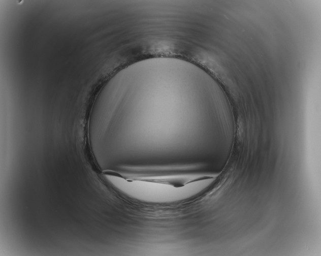 X0000088860449200707061054