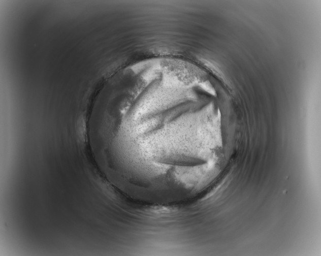 X0000088860453200707061054