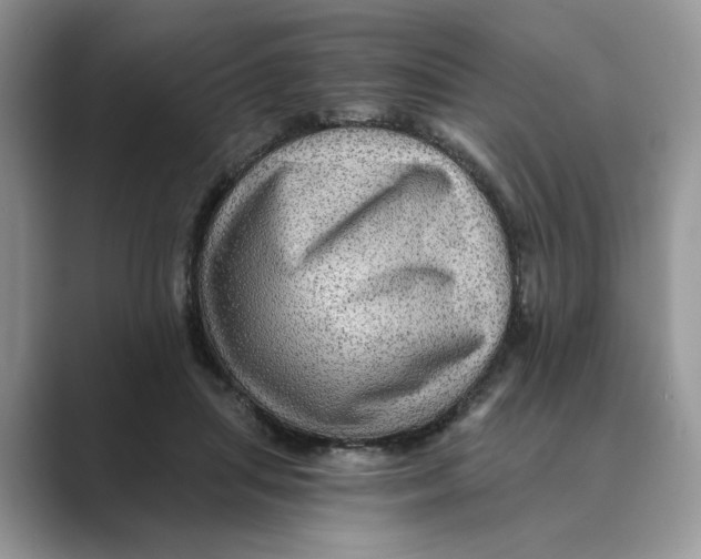 X0000088860455200707061054