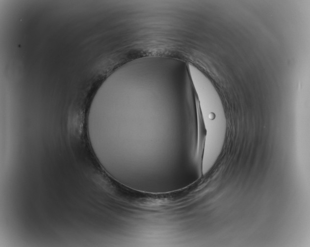 X0000088860458200707061054