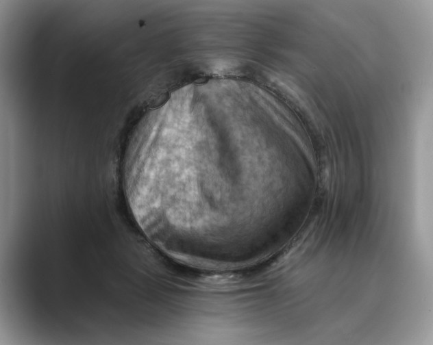 X0000088860461200707061054