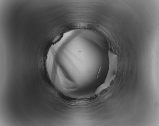 X0000088860462200707061054