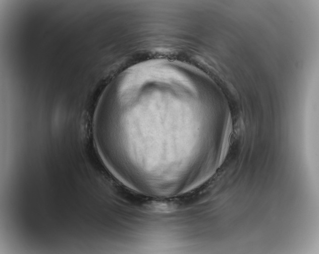 X0000088860464200707061054