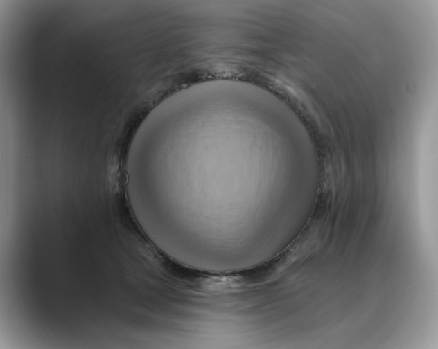 X0000088860465200707061054