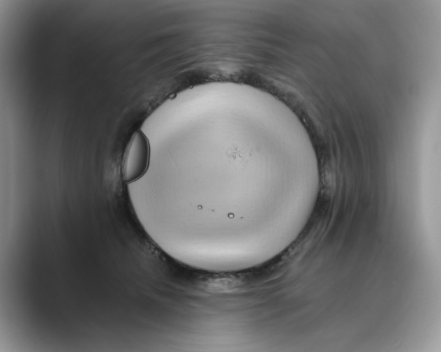 X0000088860468200707061054