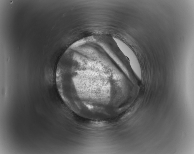 X0000088860469200707061054