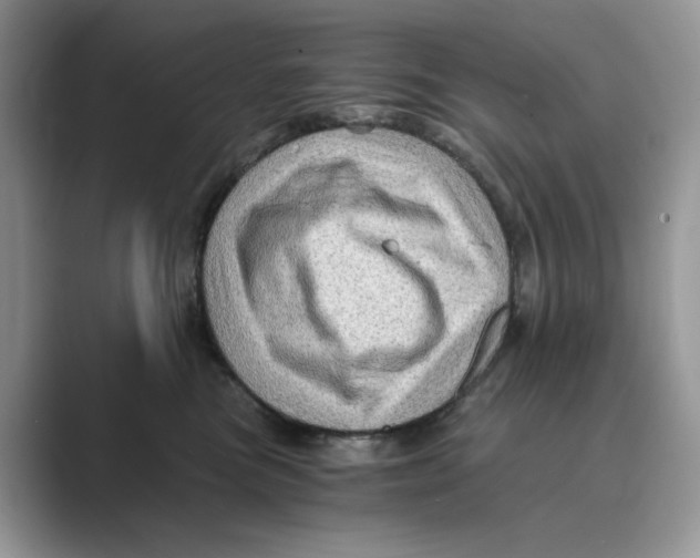 X0000088860473200707061054