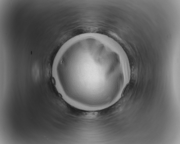 X0000088860474200707061054