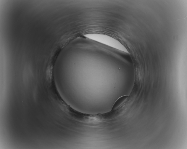 X0000088860475200707061054