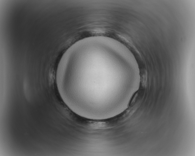 X0000088860476200707061054