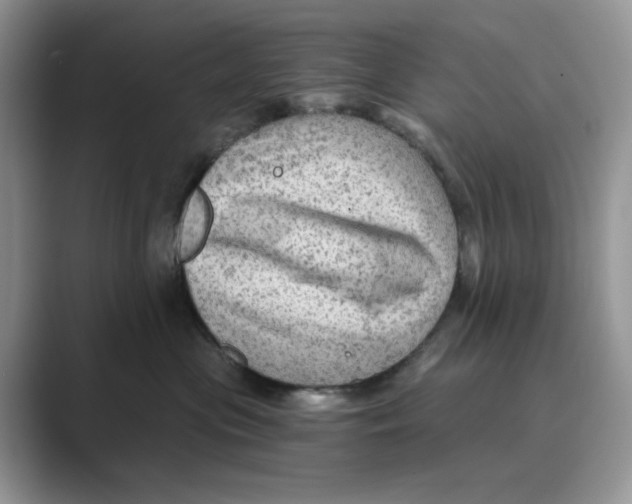 X0000088860477200707061054