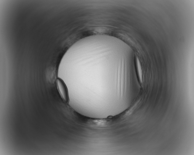 X0000088860478200707061054