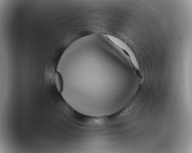 X0000088860479200707061054