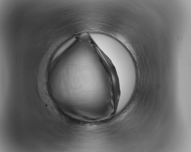 X0000088860481200707061053