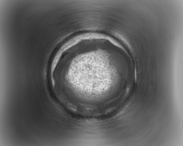 X0000088860483200707061053