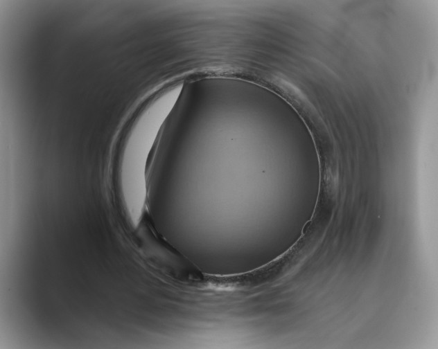 X0000088860484200707061053