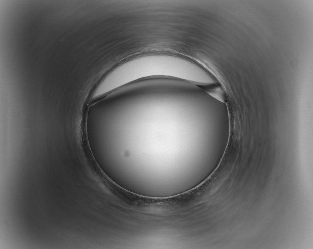 X0000088860485200707061053