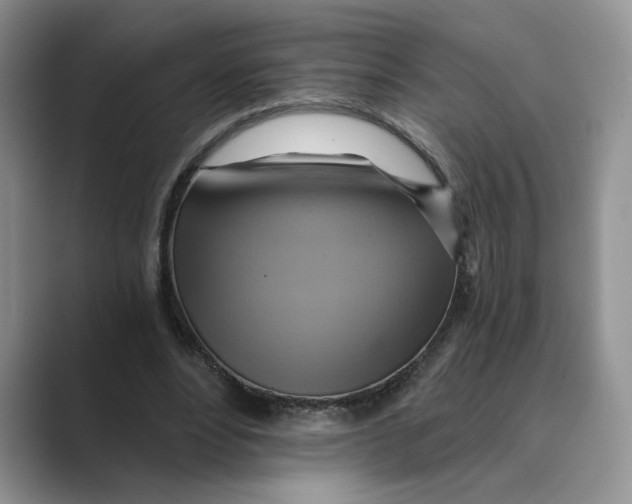 X0000088860488200707061053