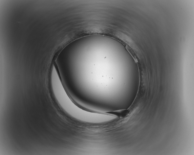 X0000088860489200707061053