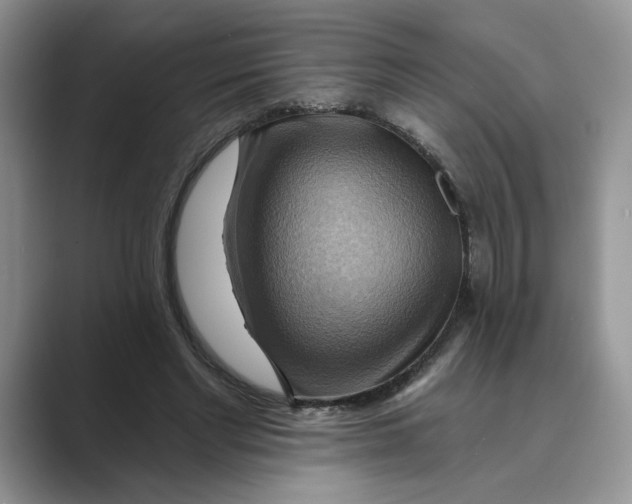 X0000088860493200707061053