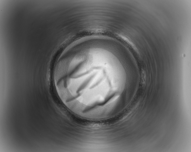 X0000088860494200707061053