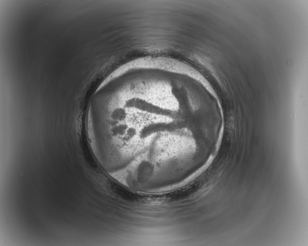 X0000088860495200707061053