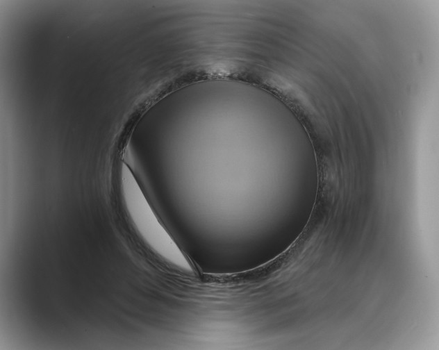 X0000088860496200707061053