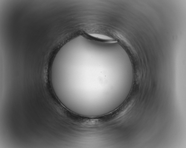 X0000088860497200707061053