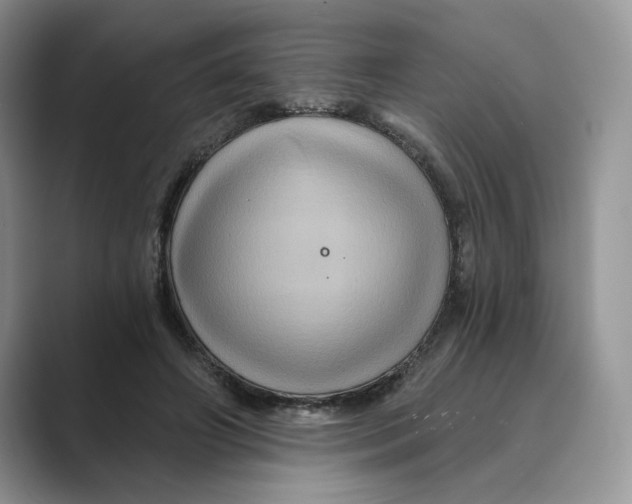 X0000088860498200707061053