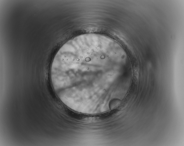 X0000088860499200707061053