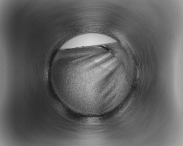 X0000088860501200707061053