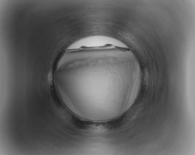 X0000088860502200707061053