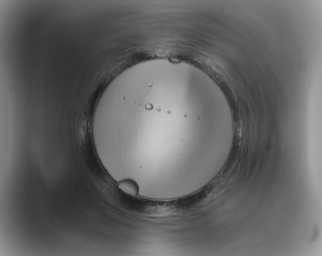 X0000088860503200707061053