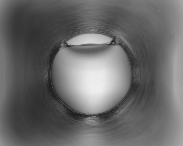 X0000088860505200707061053