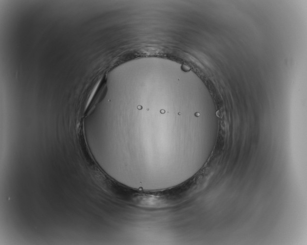 X0000088860507200707061053