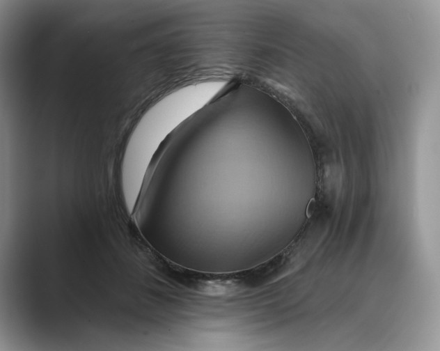 X0000088860508200707061053