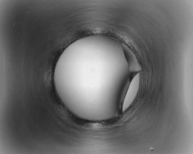 X0000088860509200707061053