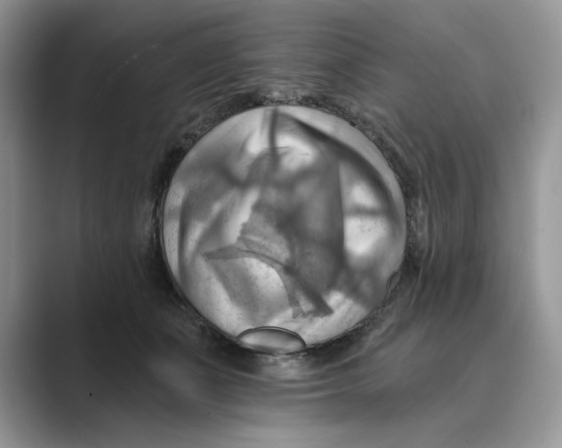 X0000088860511200707061053