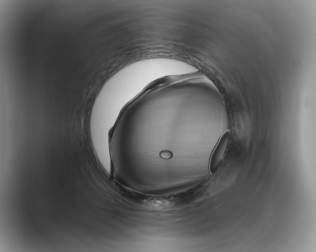 X0000088860512200707061053