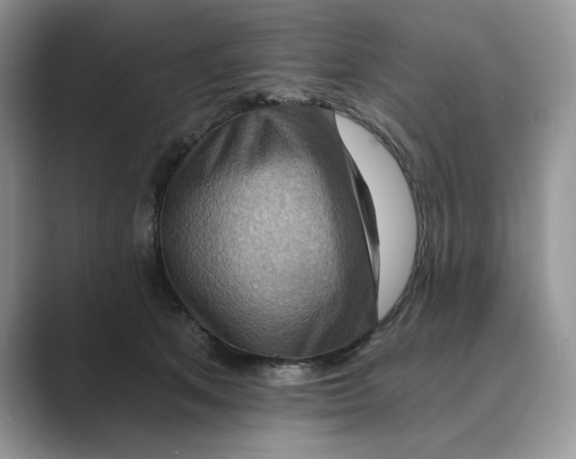 X0000088860513200707061053