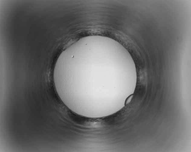 X0000088860514200707061053