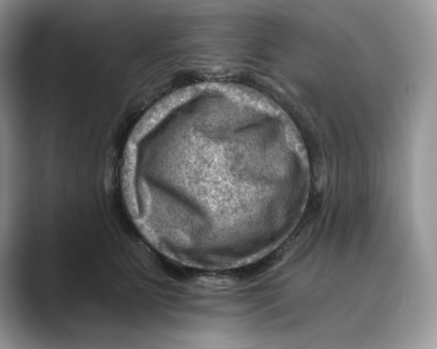 X0000088860515200707061053