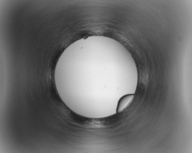 X0000088860518200707061053