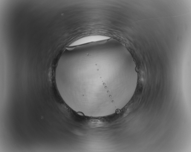 X0000088860519200707061053